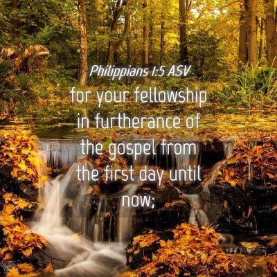 Picture 04 - Philippians 1:5 ASV - for your fellowship in furtherance of the gospel - Bible Verse Picture