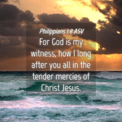 Picture 04 - Philippians 1:8 ASV - For God is my witness, how I long after you all - Bible Verse Picture