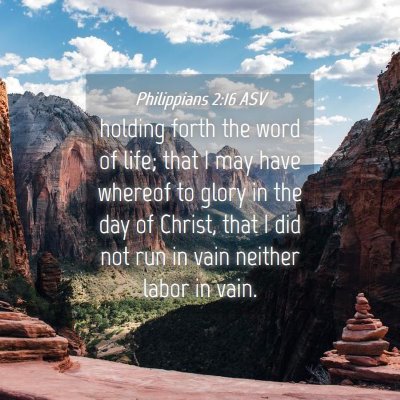 Picture 04 - Philippians 2:16 ASV - holding forth the word of life; that I may have - Bible Verse Picture