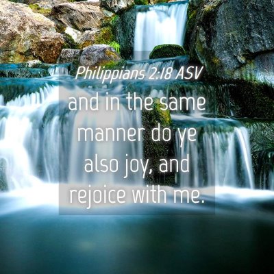 Picture 04 - Philippians 2:18 ASV - and in the same manner do ye also joy, and - Bible Verse Picture