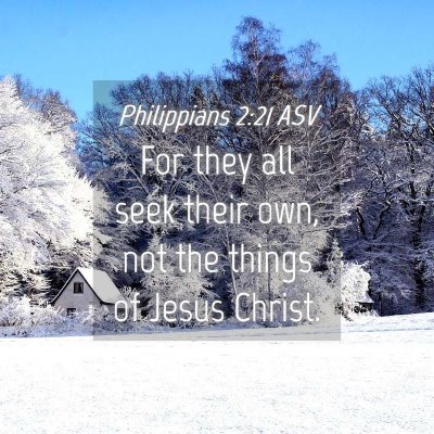 Picture 04 - Philippians 2:21 ASV - For they all seek their own, not the things of - Bible Verse Picture