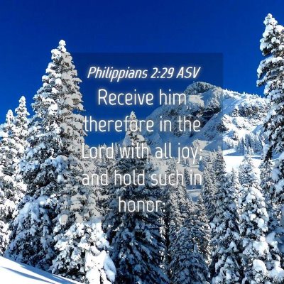 Picture 04 - Philippians 2:29 ASV - Receive him therefore in the Lord with all joy; - Bible Verse Picture