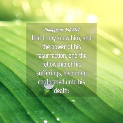 Picture 04 - Philippians 3:10 ASV - that I may know him, and the power of his - Bible Verse Picture