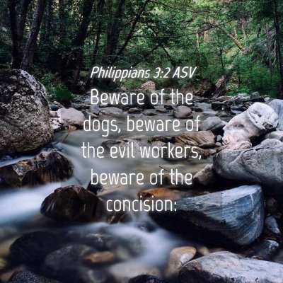 Picture 04 - Philippians 3:2 ASV - Beware of the dogs, beware of the evil workers, - Bible Verse Picture