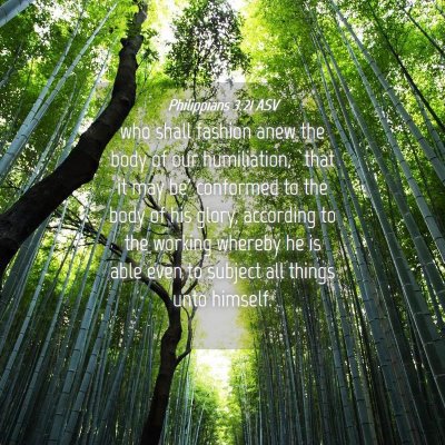 Picture 04 - Philippians 3:21 ASV - who shall fashion anew the body of our - Bible Verse Picture