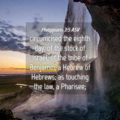 Picture 04 - Philippians 3:5 ASV - circumcised the eighth day, of the stock of - Bible Verse Picture