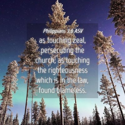 Picture 04 - Philippians 3:6 ASV - as touching zeal, persecuting the church; as - Bible Verse Picture