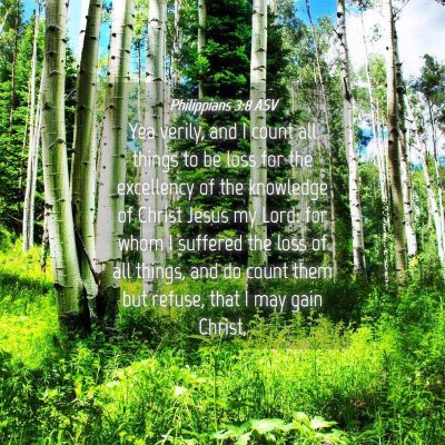 Picture 04 - Philippians 3:8 ASV - Yea verily, and I count all things to be loss for - Bible Verse Picture