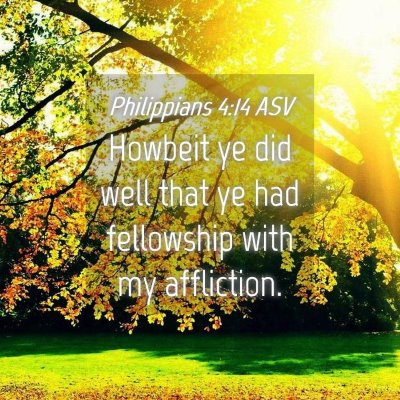 Picture 04 - Philippians 4:14 ASV - Howbeit ye did well that ye had fellowship with - Bible Verse Picture