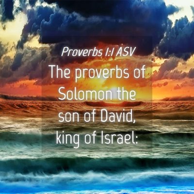 Picture 04 - Proverbs 1:1 ASV - The proverbs of Solomon the son of David, king of - Bible Verse Picture