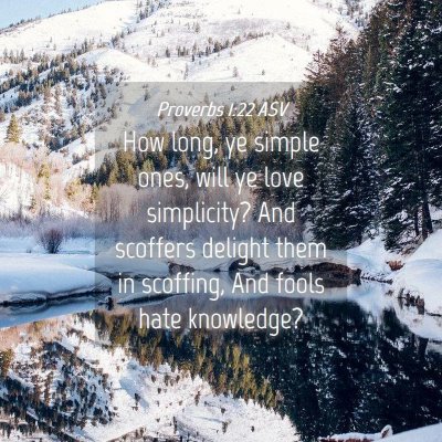 Picture 04 - Proverbs 1:22 ASV - How long, ye simple ones, will ye love - Bible Verse Picture