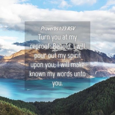 Picture 04 - Proverbs 1:23 ASV - Turn you at my reproof: Behold, I will pour out - Bible Verse Picture