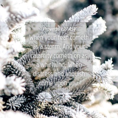 Picture 04 - Proverbs 1:27 ASV - When your fear cometh as a storm, And your - Bible Verse Picture