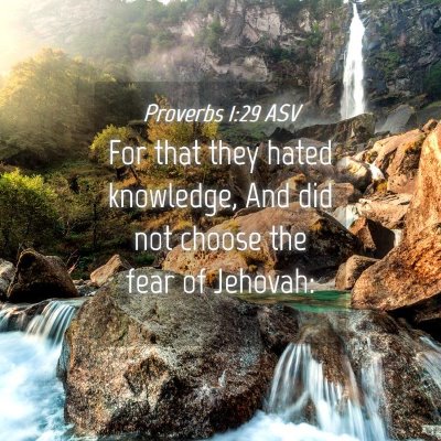 Picture 04 - Proverbs 1:29 ASV - For that they hated knowledge, And did not choose - Bible Verse Picture