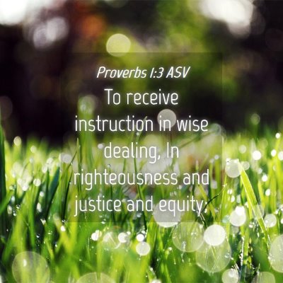 Picture 04 - Proverbs 1:3 ASV - To receive instruction in wise dealing, In - Bible Verse Picture