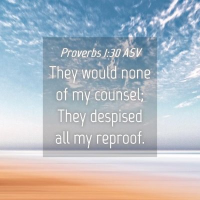 Picture 04 - Proverbs 1:30 ASV - They would none of my counsel; They despised all - Bible Verse Picture