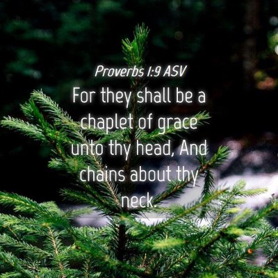 Picture 04 - Proverbs 1:9 ASV - For they shall be a chaplet of grace unto thy - Bible Verse Picture
