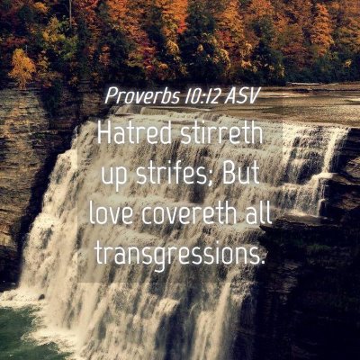 Picture 04 - Proverbs 10:12 ASV - Hatred stirreth up strifes; But love covereth all - Bible Verse Picture