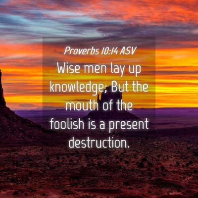 Picture 04 - Proverbs 10:14 ASV - Wise men lay up knowledge; But the mouth of the - Bible Verse Picture