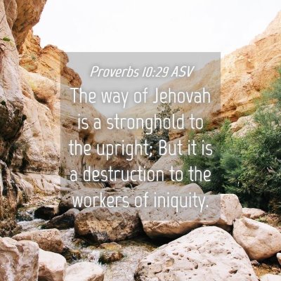 Picture 04 - Proverbs 10:29 ASV - The way of Jehovah is a stronghold to the - Bible Verse Picture