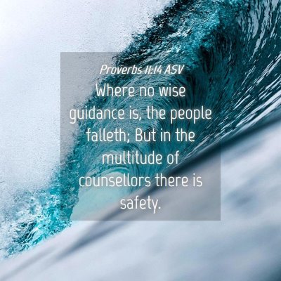 Picture 04 - Proverbs 11:14 ASV - Where no wise guidance is, the people falleth; - Bible Verse Picture