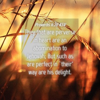 Picture 04 - Proverbs 11:20 ASV - They that are perverse in heart are an - Bible Verse Picture