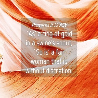Picture 04 - Proverbs 11:22 ASV - `As' a ring of gold in a swine's snout, `So is' a - Bible Verse Picture