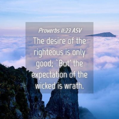 Picture 04 - Proverbs 11:23 ASV - The desire of the righteous is only good; `But' - Bible Verse Picture