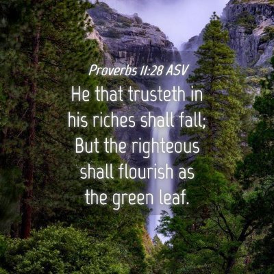Picture 04 - Proverbs 11:28 ASV - He that trusteth in his riches shall fall; But - Bible Verse Picture