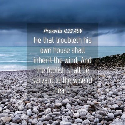 Picture 04 - Proverbs 11:29 ASV - He that troubleth his own house shall inherit the - Bible Verse Picture