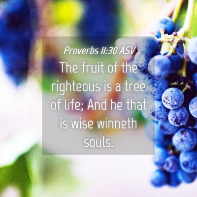Picture 04 - Proverbs 11:30 ASV - The fruit of the righteous is a tree of life; And - Bible Verse Picture