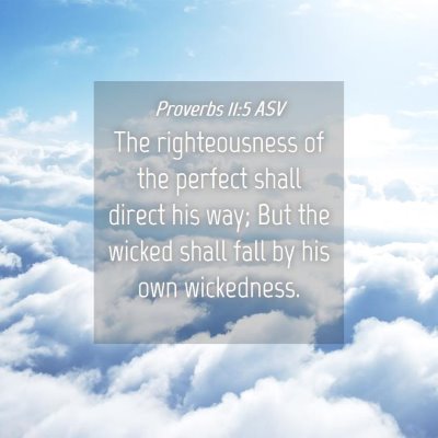 Picture 04 - Proverbs 11:5 ASV - The righteousness of the perfect shall direct his - Bible Verse Picture