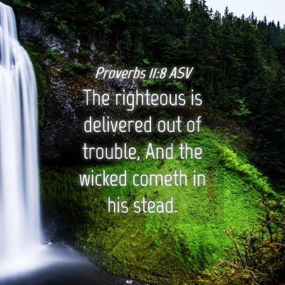 Picture 04 - Proverbs 11:8 ASV - The righteous is delivered out of trouble, And - Bible Verse Picture