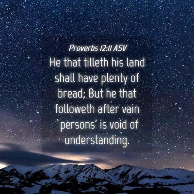 Picture 04 - Proverbs 12:11 ASV - He that tilleth his land shall have plenty of - Bible Verse Picture