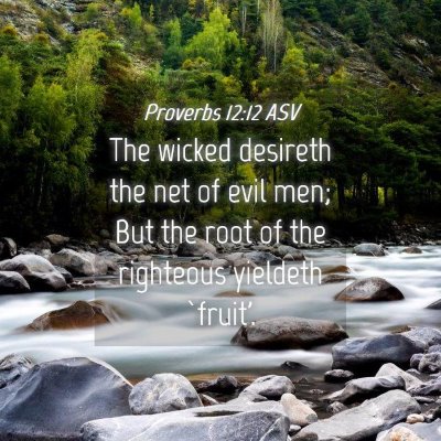 Picture 04 - Proverbs 12:12 ASV - The wicked desireth the net of evil men; But the - Bible Verse Picture