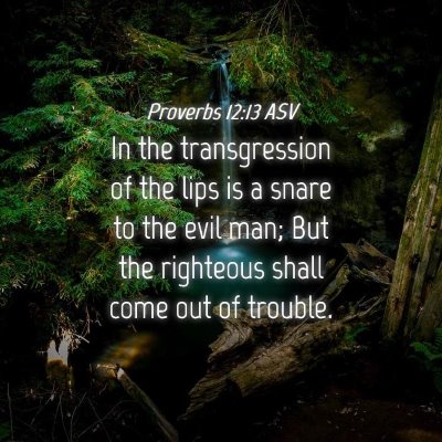 Picture 04 - Proverbs 12:13 ASV - In the transgression of the lips is a snare to - Bible Verse Picture