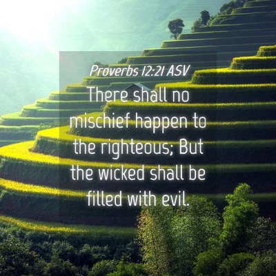 Picture 04 - Proverbs 12:21 ASV - There shall no mischief happen to the righteous; - Bible Verse Picture