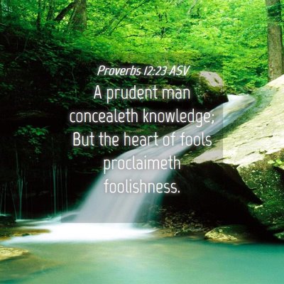 Picture 04 - Proverbs 12:23 ASV - A prudent man concealeth knowledge; But the heart - Bible Verse Picture
