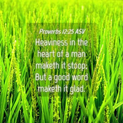Picture 04 - Proverbs 12:25 ASV - Heaviness in the heart of a man maketh it stoop; - Bible Verse Picture