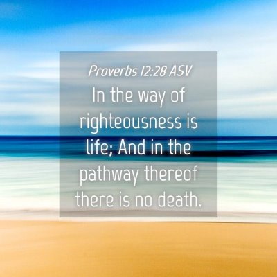 Picture 04 - Proverbs 12:28 ASV - In the way of righteousness is life; And in the - Bible Verse Picture