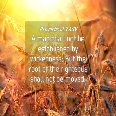 Picture 04 - Proverbs 12:3 ASV - A man shall not be established by wickedness; But - Bible Verse Picture