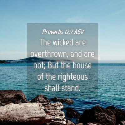Picture 04 - Proverbs 12:7 ASV - The wicked are overthrown, and are not; But the - Bible Verse Picture