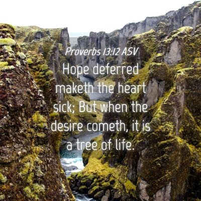 Picture 04 - Proverbs 13:12 ASV - Hope deferred maketh the heart sick; But when the - Bible Verse Picture