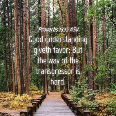 Picture 04 - Proverbs 13:15 ASV - Good understanding giveth favor; But the way of - Bible Verse Picture