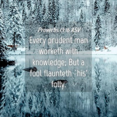 Picture 04 - Proverbs 13:16 ASV - Every prudent man worketh with knowledge; But a - Bible Verse Picture