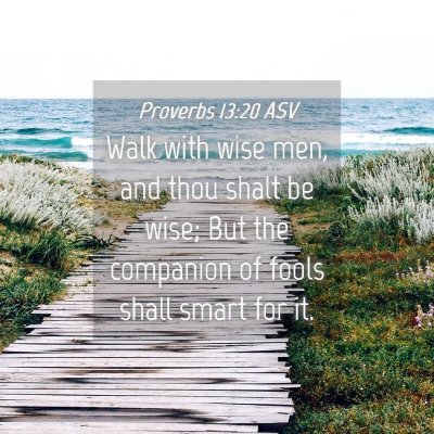 Picture 04 - Proverbs 13:20 ASV - Walk with wise men, and thou shalt be wise; But - Bible Verse Picture