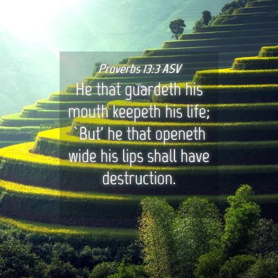 Picture 04 - Proverbs 13:3 ASV - He that guardeth his mouth keepeth his life; - Bible Verse Picture
