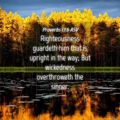 Picture 04 - Proverbs 13:6 ASV - Righteousness guardeth him that is upright in the - Bible Verse Picture