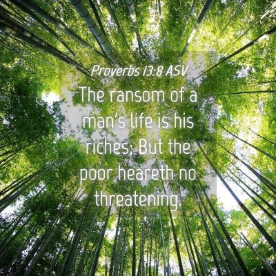 Picture 04 - Proverbs 13:8 ASV - The ransom of a man's life is his riches; But the - Bible Verse Picture