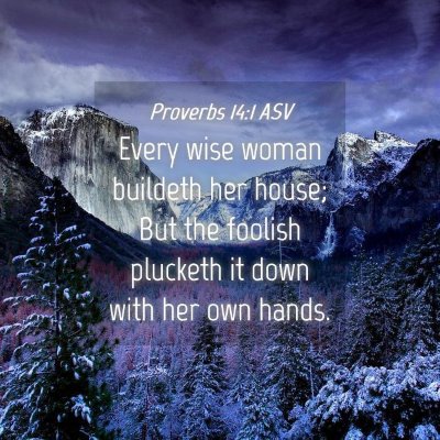 Picture 04 - Proverbs 14:1 ASV - Every wise woman buildeth her house; But the - Bible Verse Picture